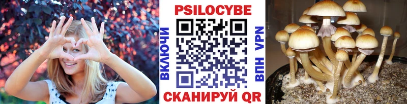 Псилоцибиновые грибы прущие грибы  Кызыл 