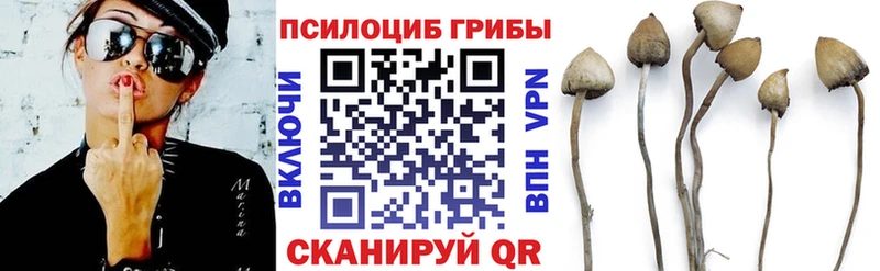 Псилоцибиновые грибы Magic Shrooms Кызыл
